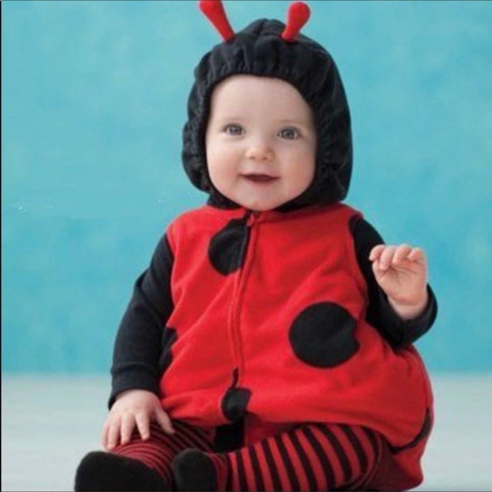 Carter’s 3 piece ladybug costume, size 12 months - Picture 6 of 6